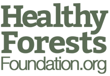 Healthy Forest